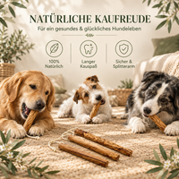 Kauknochen aus Olivenholz für Hunde